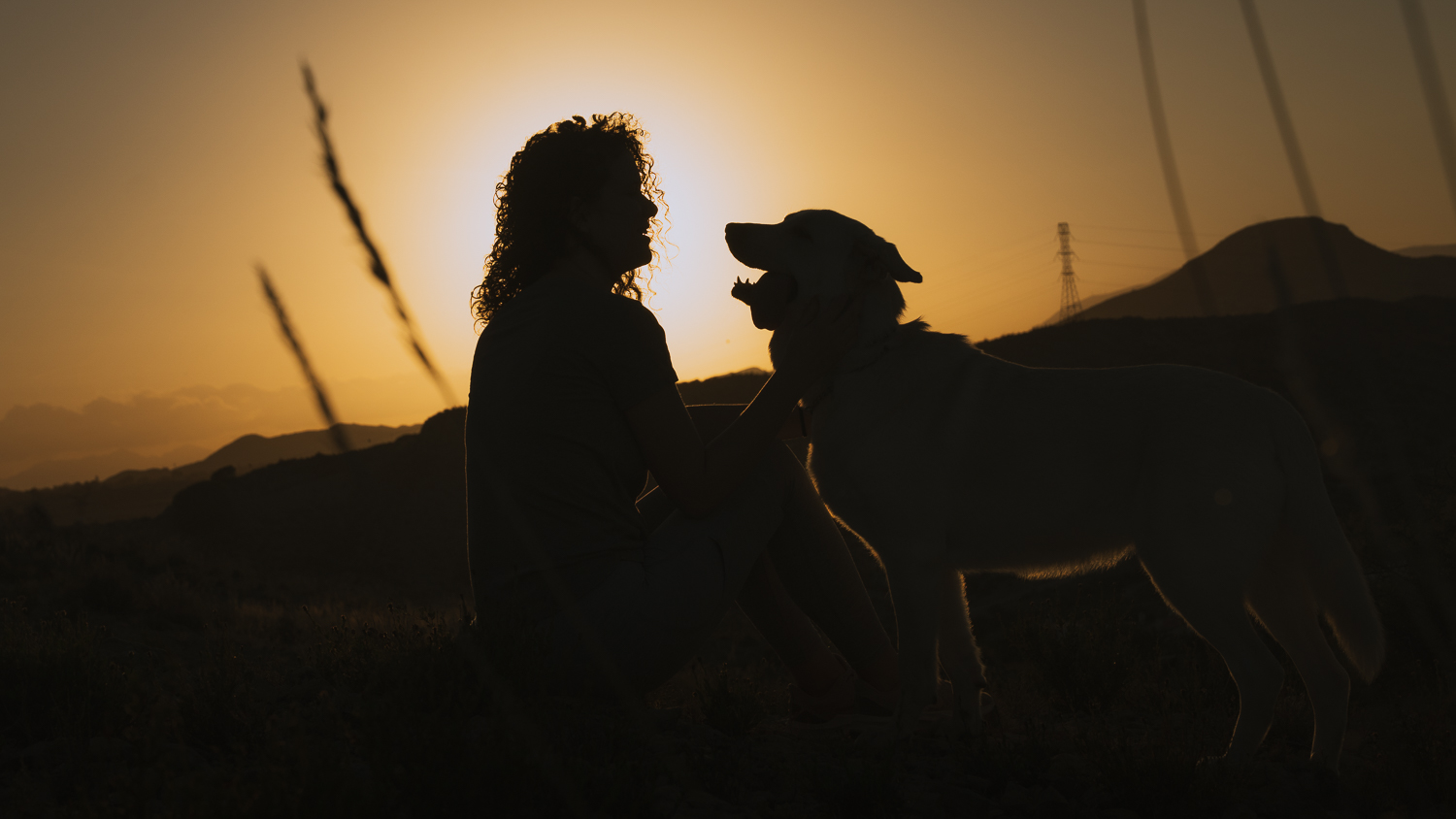 Aria al atardecer
