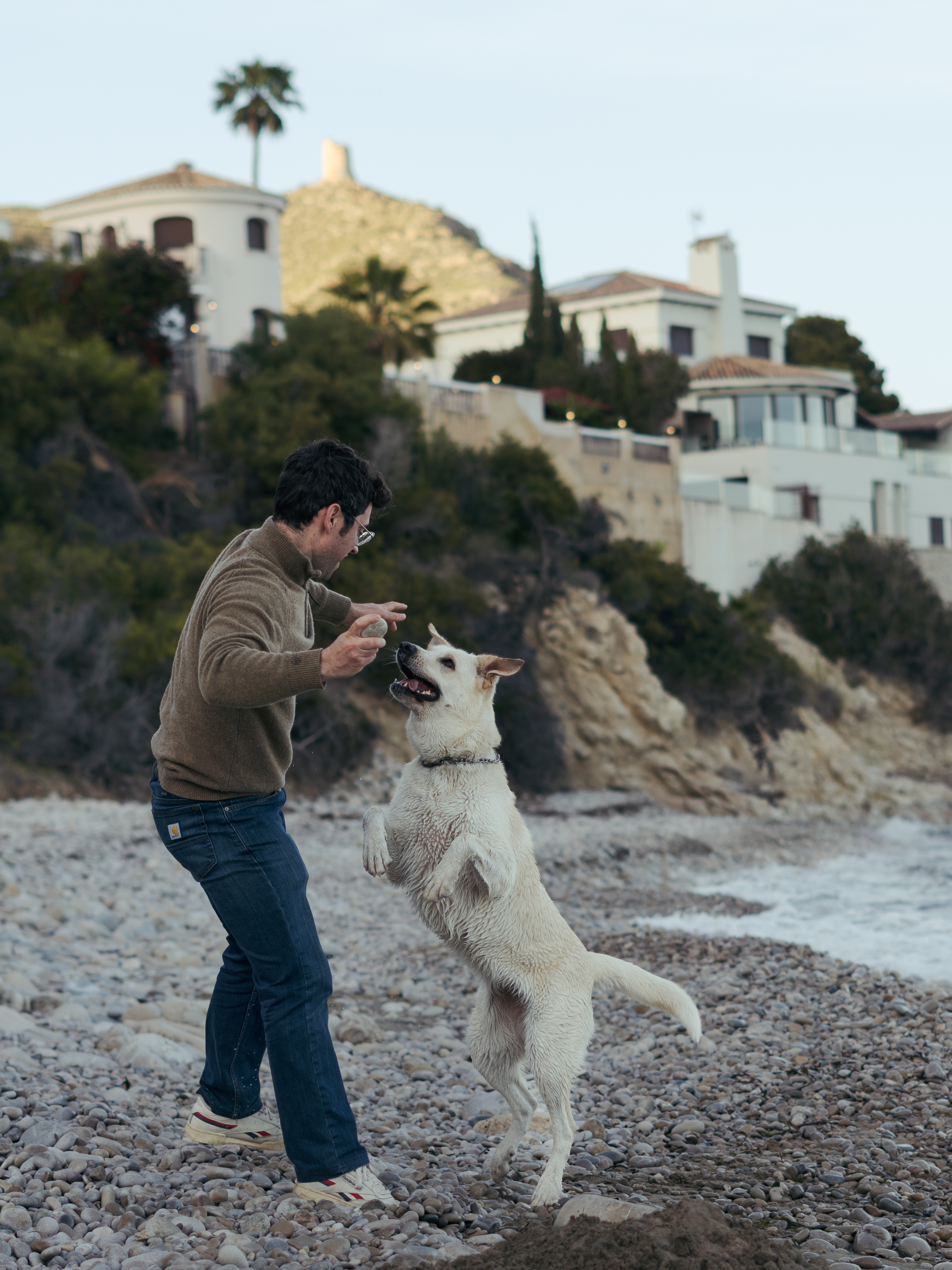 Aria jugando junto al mar