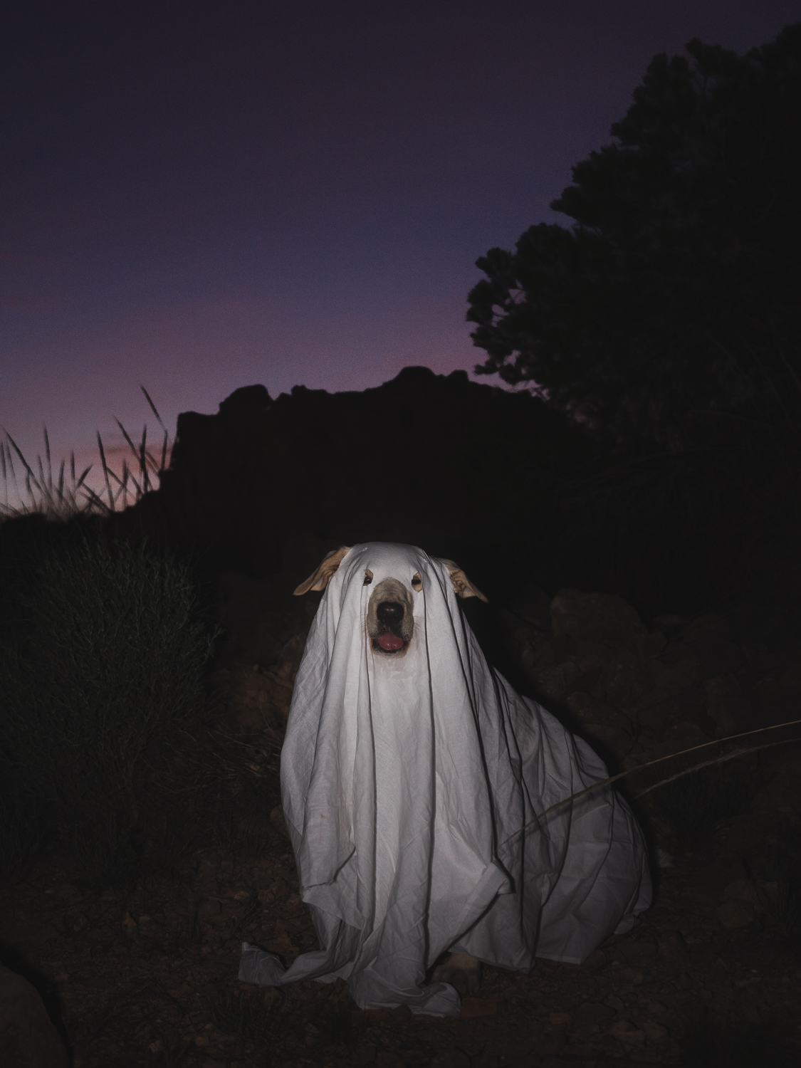 Aria disfrazada de fantasma al anochecer
