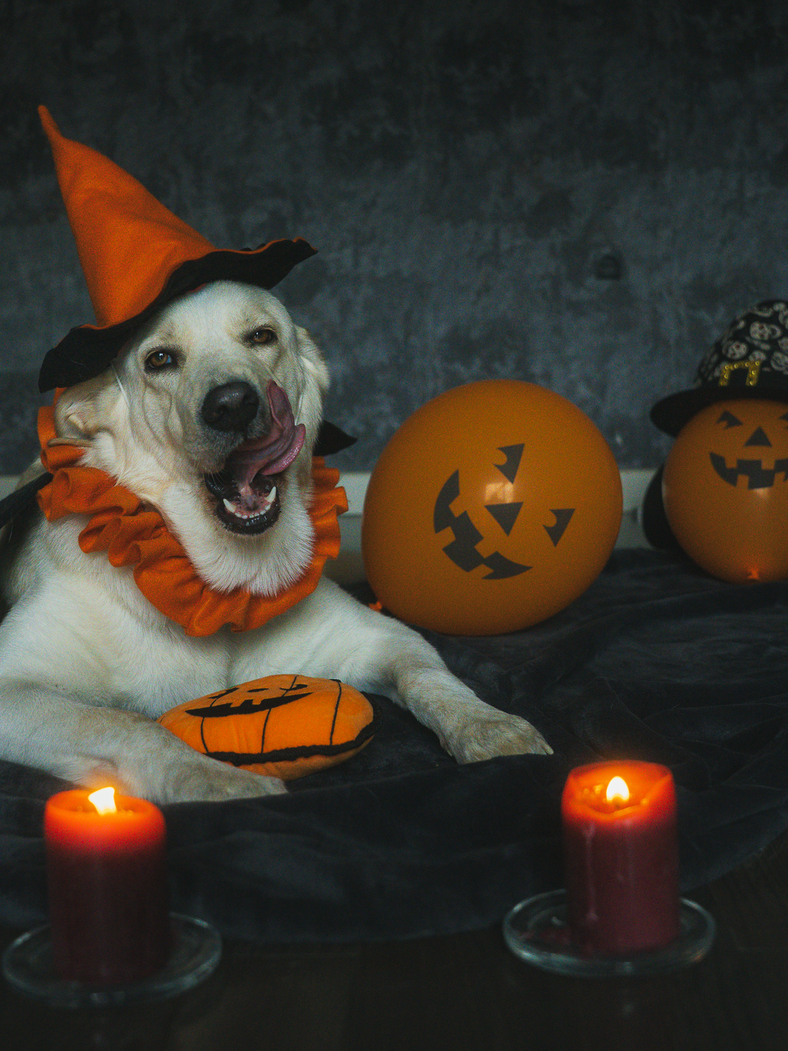 Aria celebrando Halloween