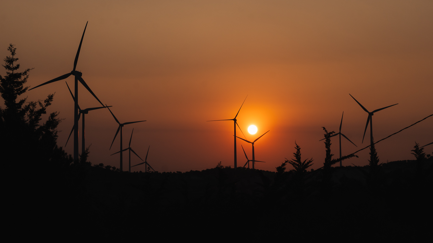 Atardecer entre molinos